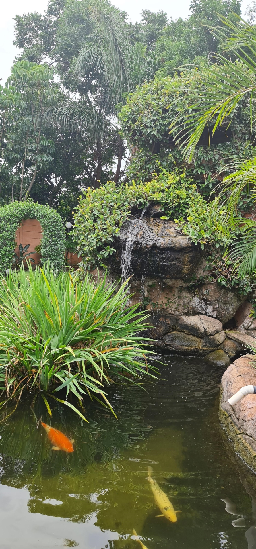 5 Bedroom Property for Sale in Protea Park North West